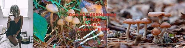 метадон Остров