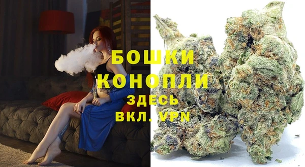 мдпв Осташков