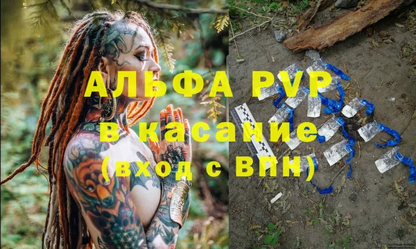 мдпв Осташков