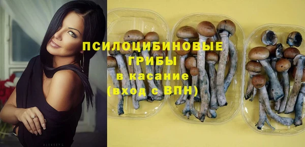 соль ск Абинск